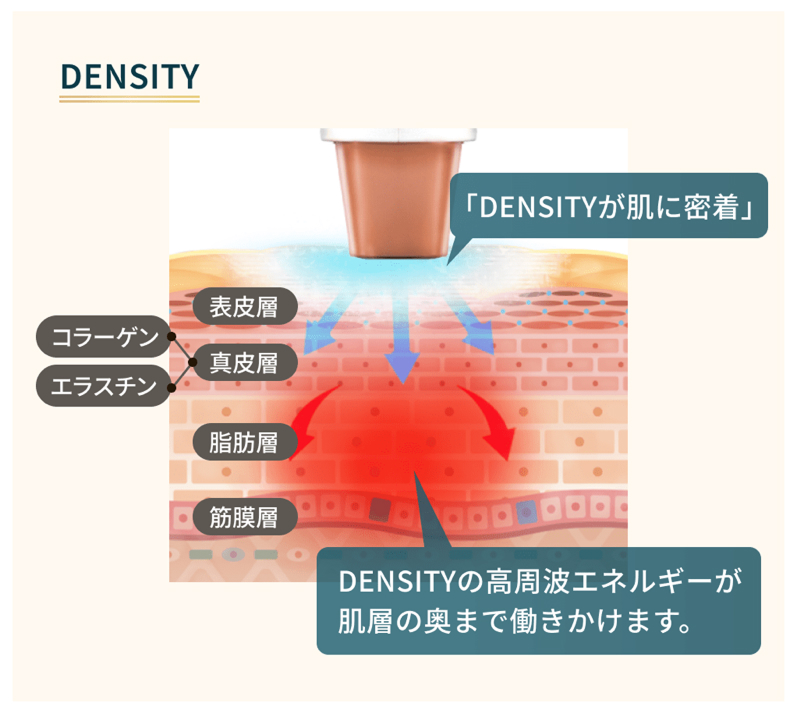 デンシティ（DENSITY）のここがすごい！