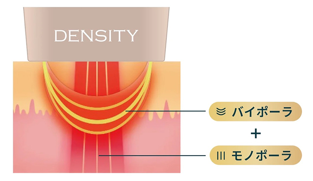 デンシティ（DENSITY）の特徴