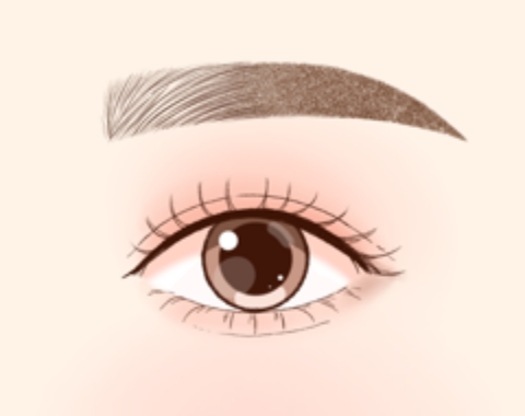 眉頭毛並みのみの馴染ませグラデーション眉（4D）